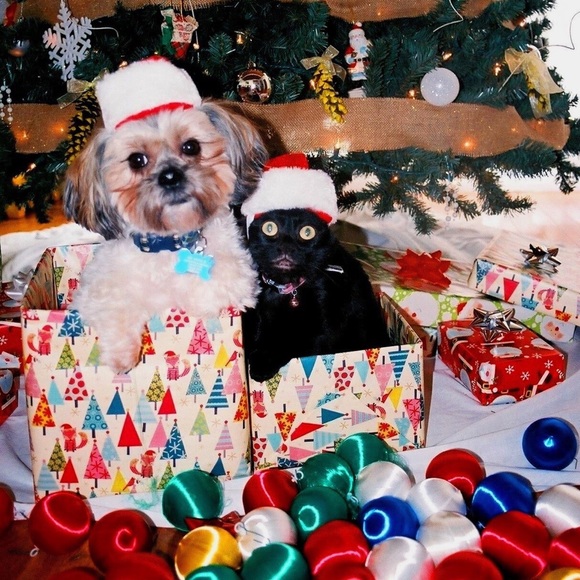 Hello there! I’m Jacquelyn! - Picture 5 of 8